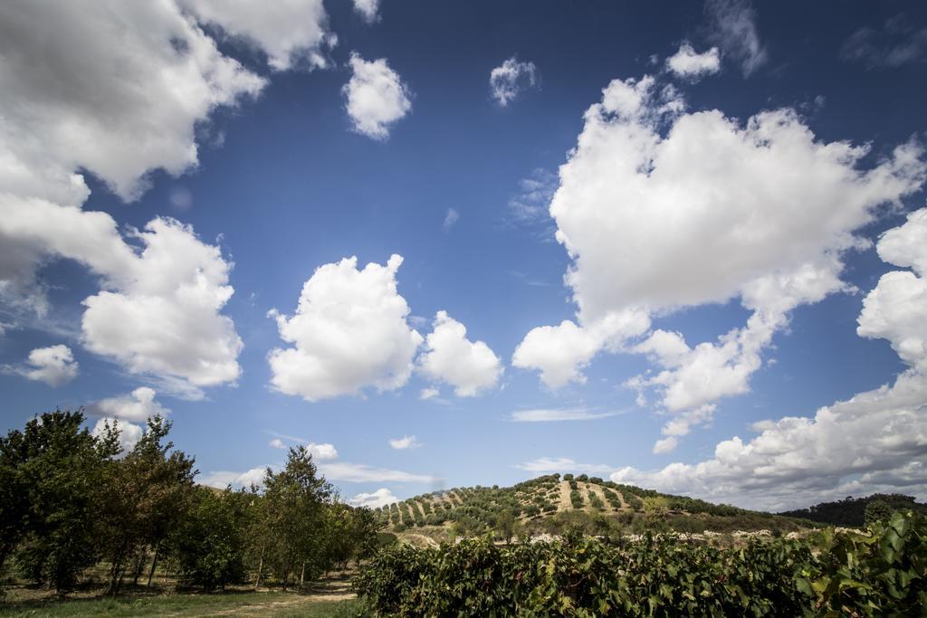 Agriturismo Il Giriatello 克罗托内 外观 照片