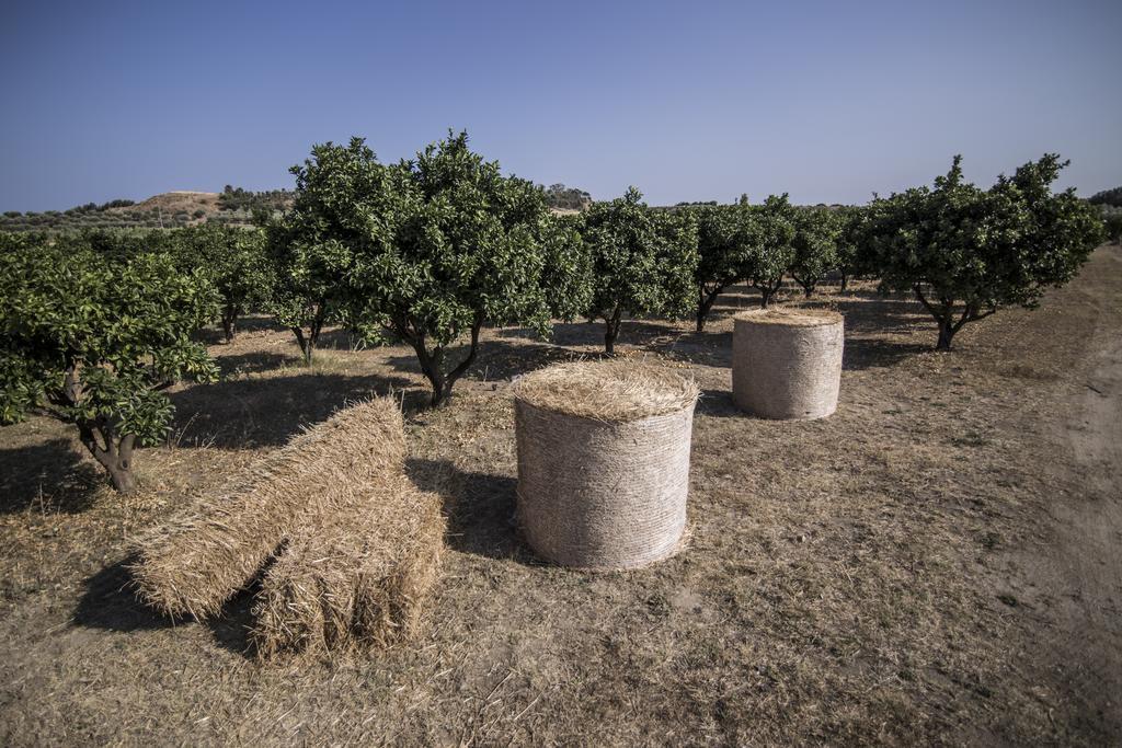 Agriturismo Il Giriatello 克罗托内 外观 照片