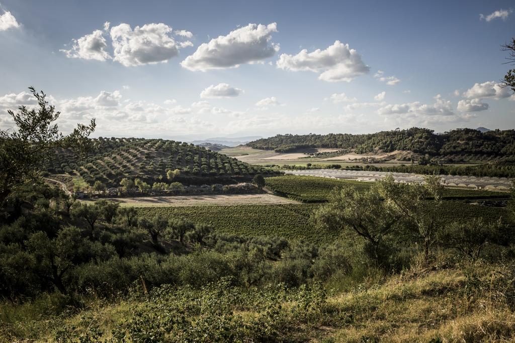 Agriturismo Il Giriatello 克罗托内 外观 照片