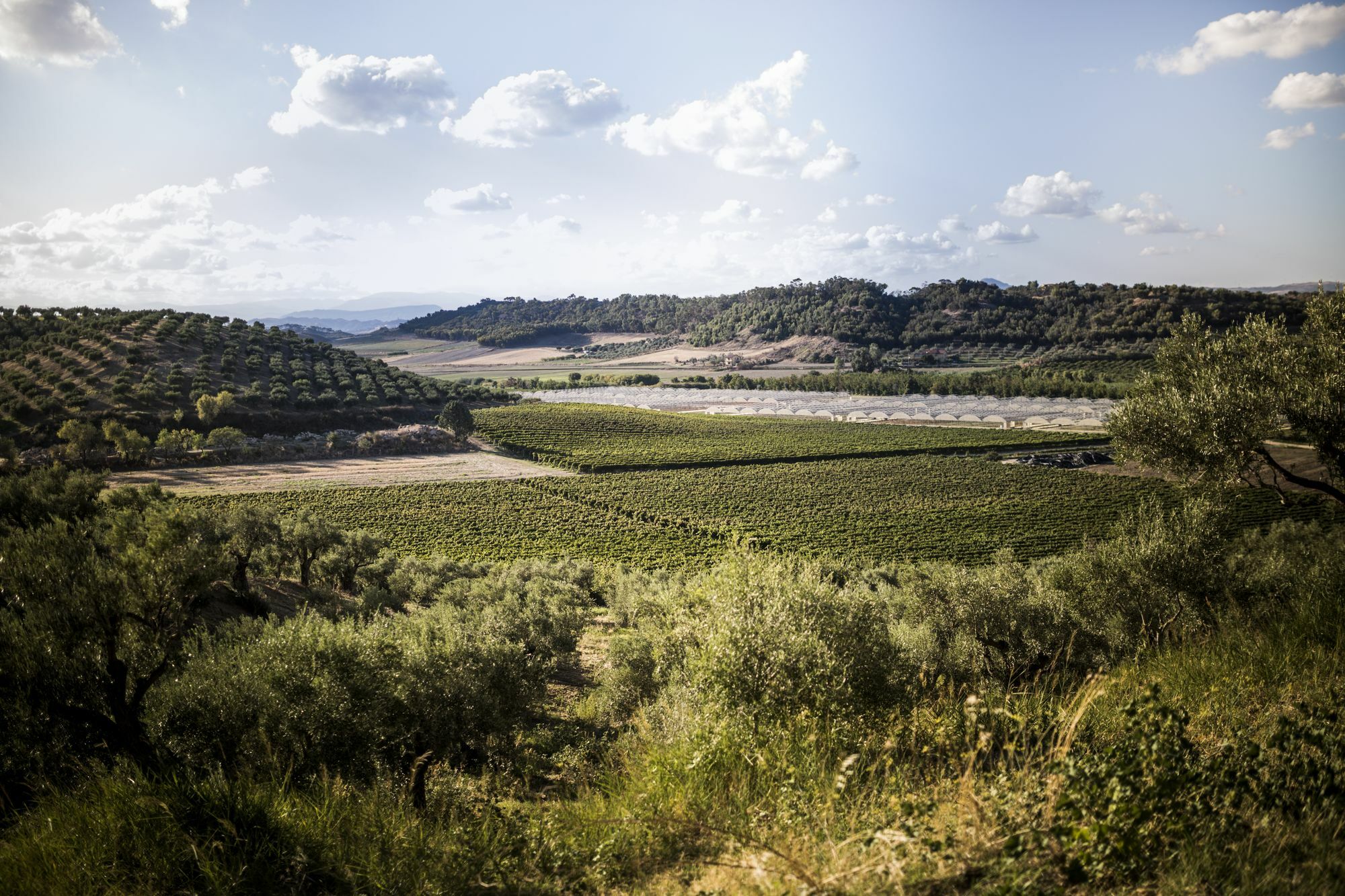Agriturismo Il Giriatello 克罗托内 外观 照片
