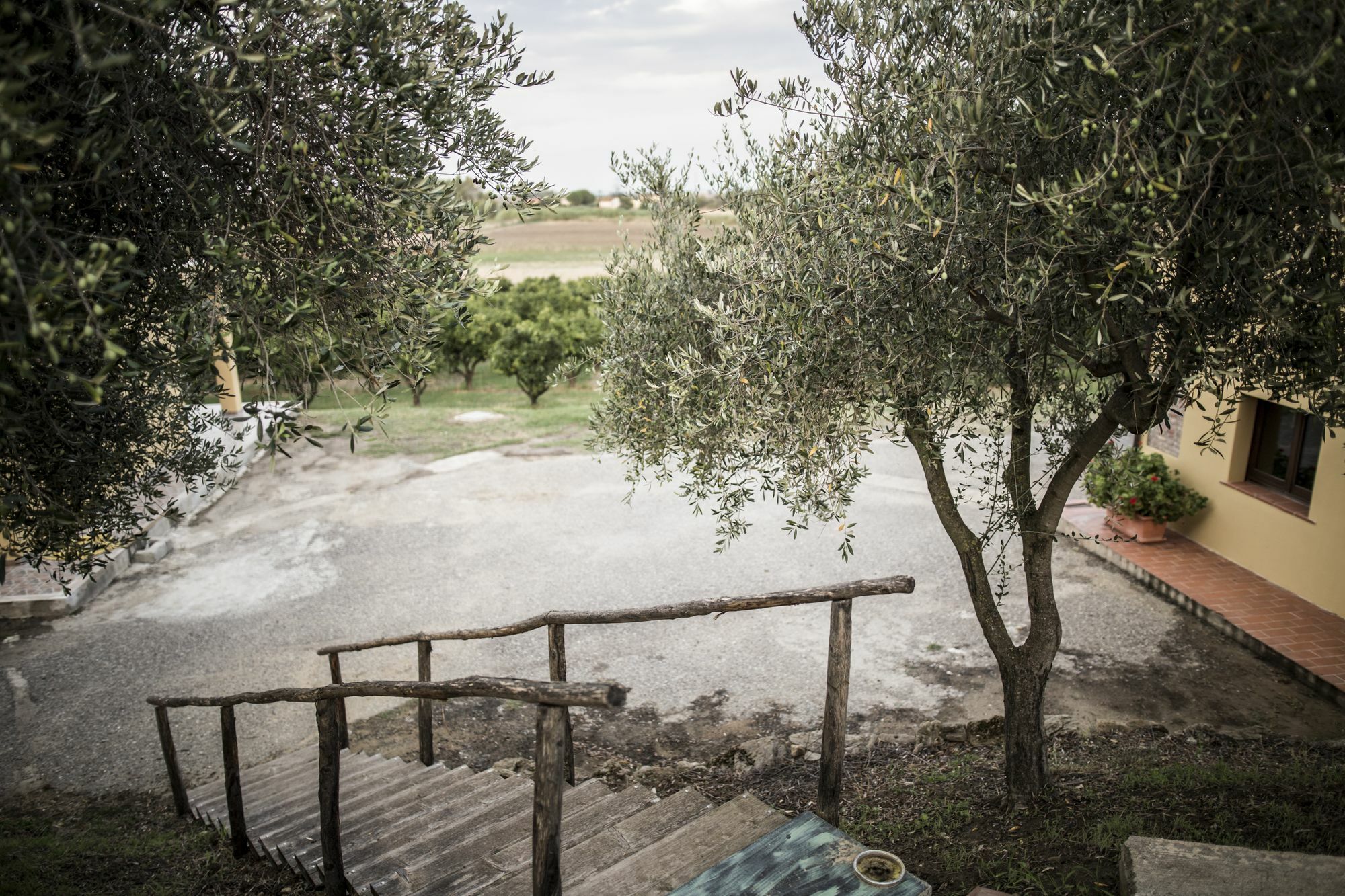 Agriturismo Il Giriatello 克罗托内 外观 照片
